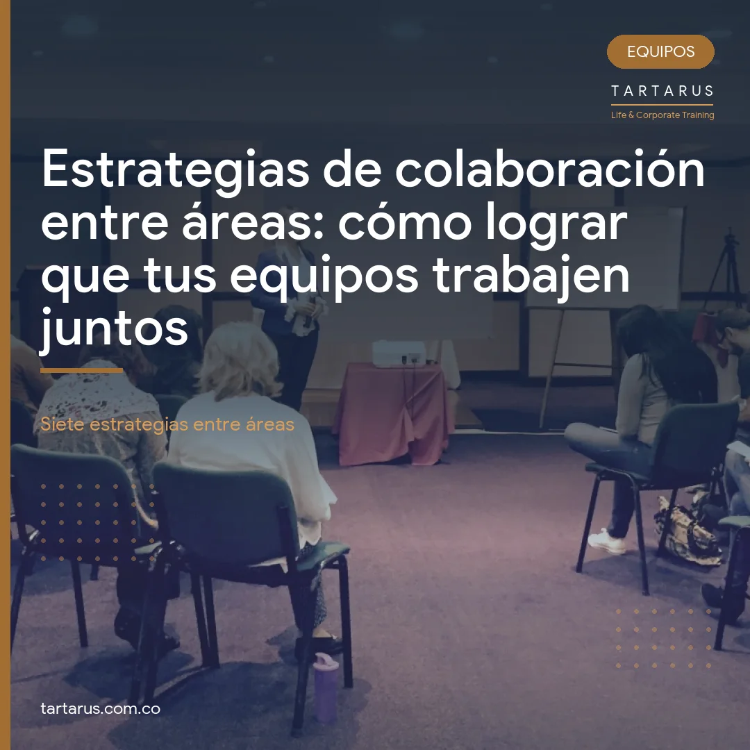 Portada del articulo sobre estrategias de colaboracion entre areas