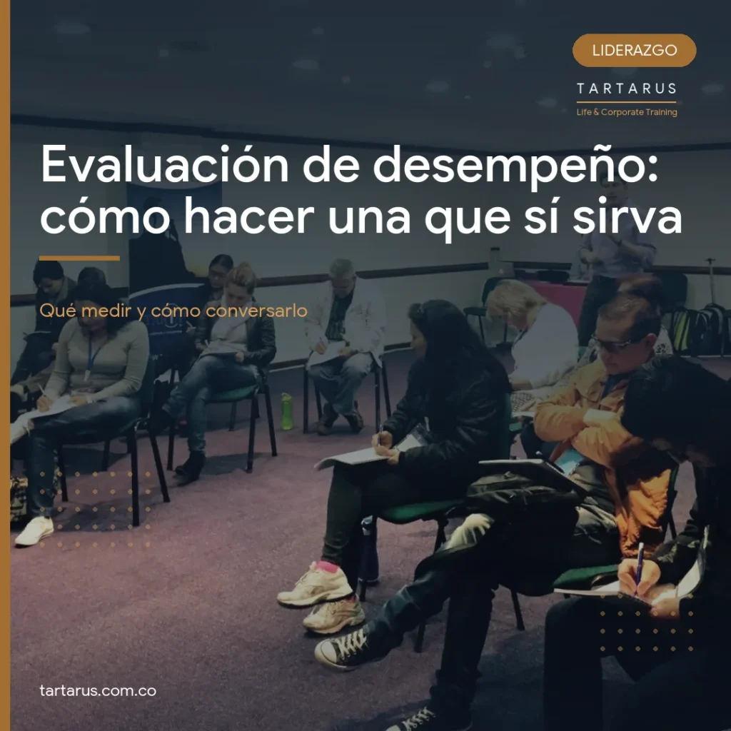 Portada del articulo sobre evaluacion de desempeno