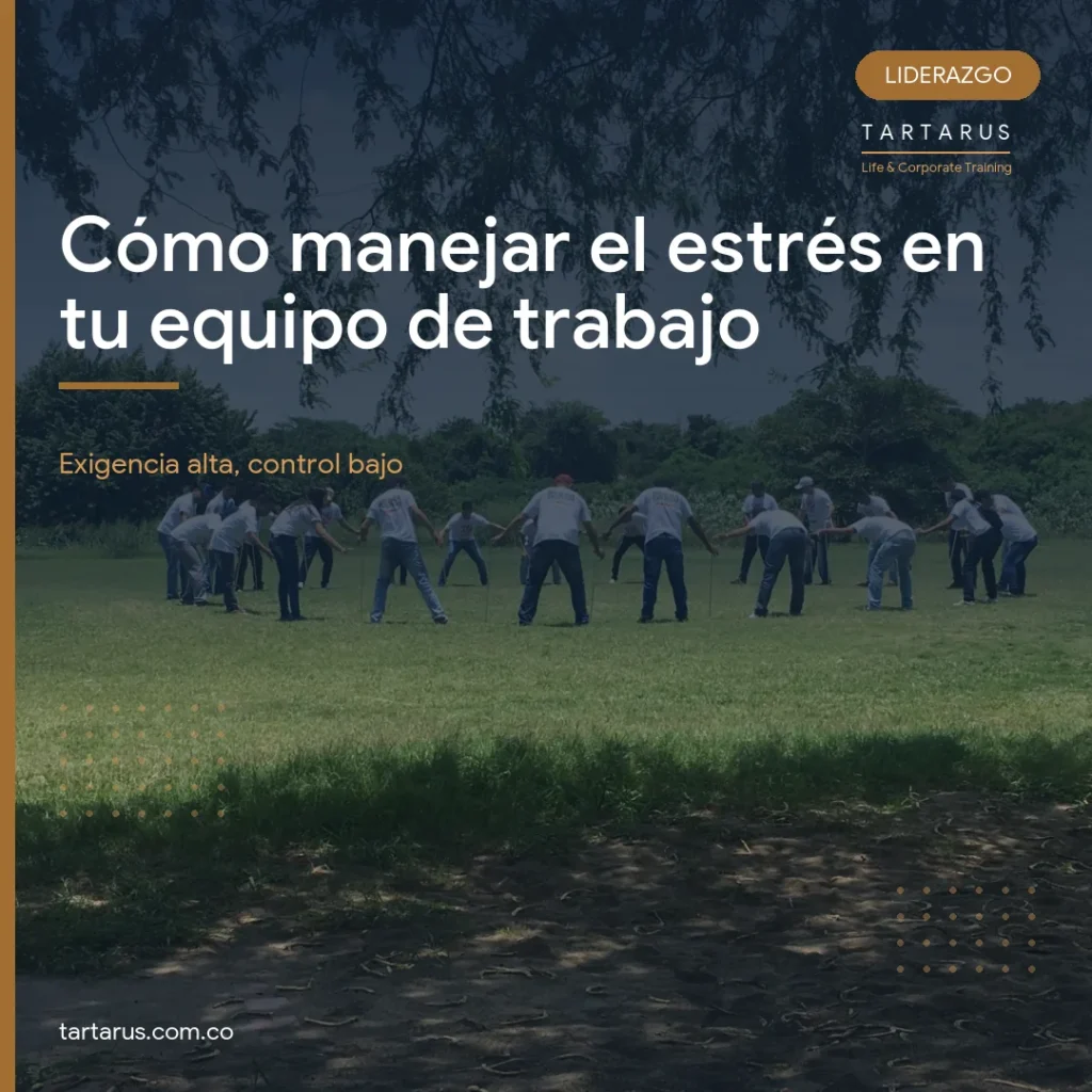 Portada del articulo sobre el manejo del estres en el equipo de trabajo