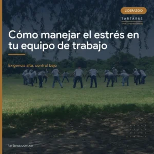 Portada del articulo sobre el manejo del estres en el equipo de trabajo