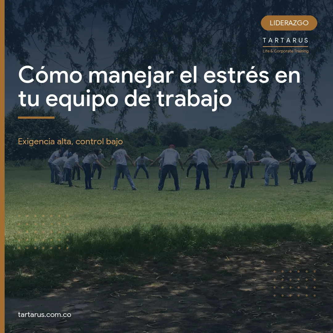 Portada del articulo sobre el manejo del estres en el equipo de trabajo